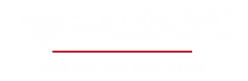 The Blue Dragon Family Hub Logo